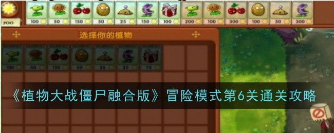 植物大战僵尸融合版冒险模式第6关怎么通关-植物大战僵尸融合版冒险模式第6关通关攻略