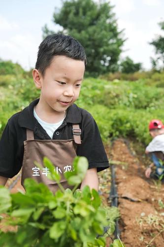 绝品修真小农民 山村最强小农民