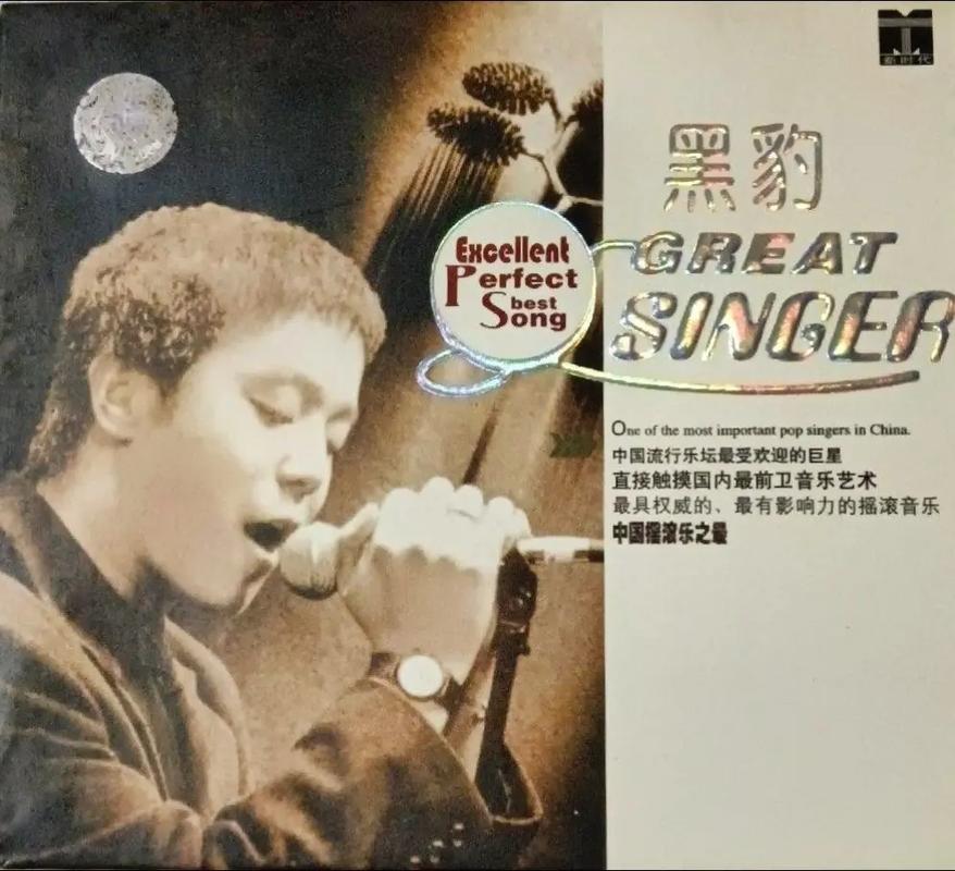 窦唯好听的歌 窦唯好听的歌曲合集视频
