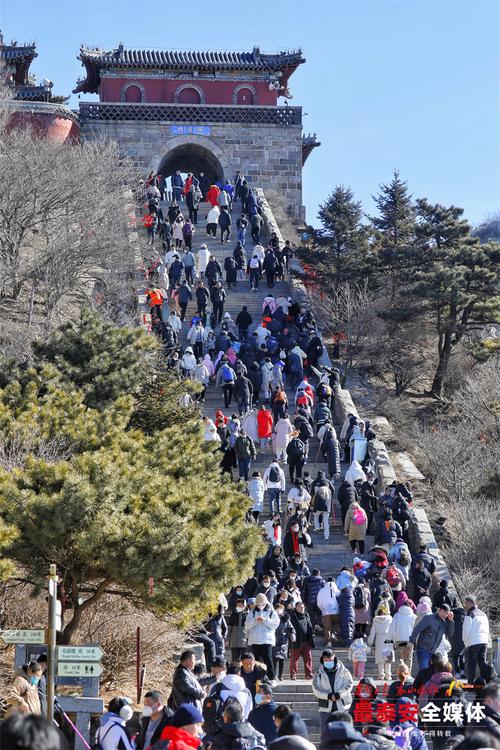 东方泰山网 东方泰山网泰安新闻