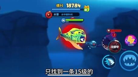 大鱼吃小鱼小游戏双人 大鱼吃小鱼游戏双人版