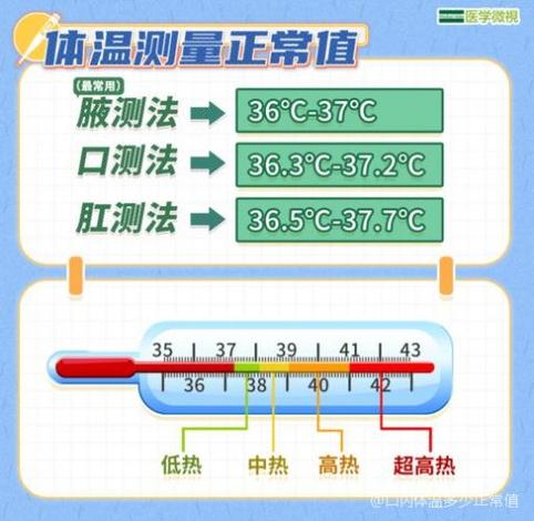 人的正常体温是多少 正常体温计图片