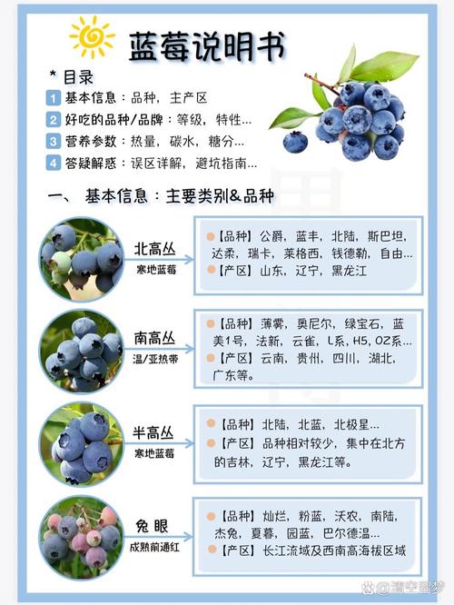 蓝莓怎么吃 蓝莓的营养成分