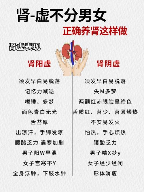 肾虚怎么补 肾虚严重怎么补救