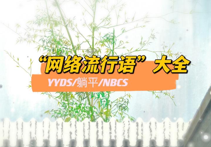 什么意思 网络词的意思