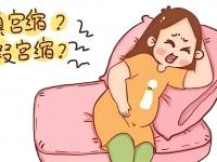 宫缩是什么感觉 宫缩疼的位置图