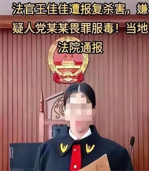 王佳佳案件判得公平吗