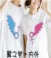 《新翼之梦4.6攻略——揭秘最强装备与战略技巧》（开启全新篇章，探索终极之路）
