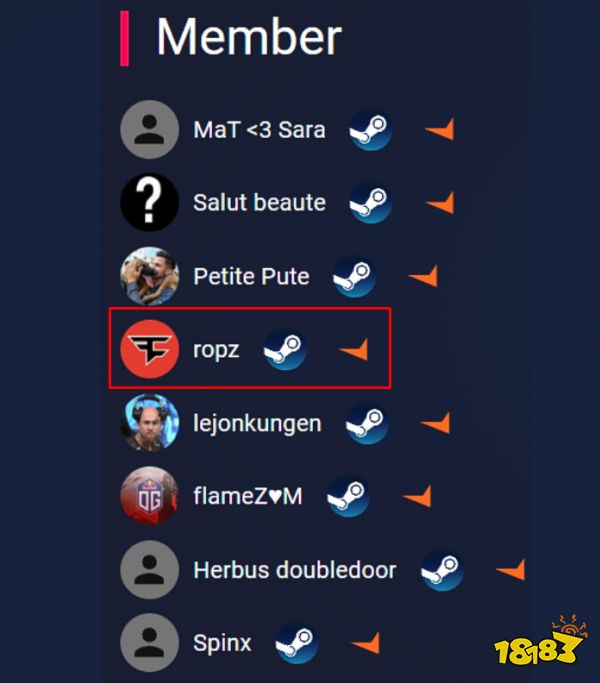 Vitality训练群成员中已有ropz
