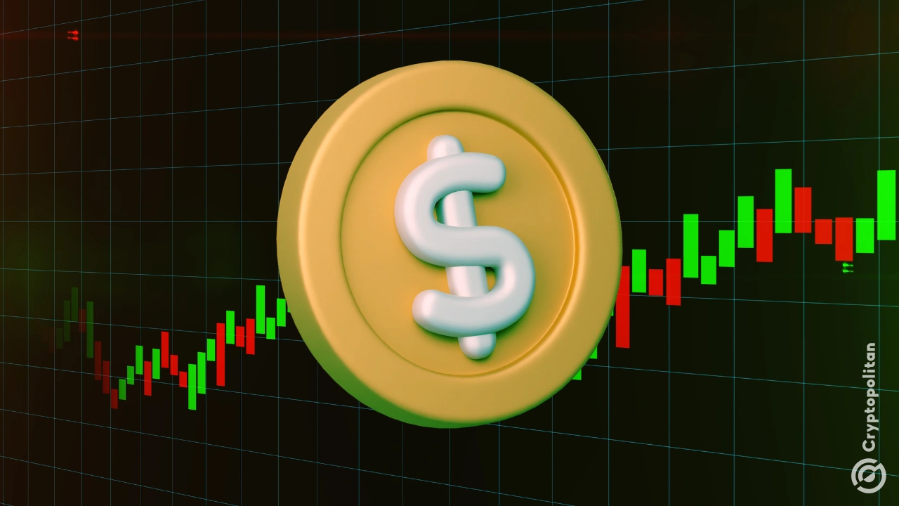 USDC交易峰值的binance超过了对监管稳定的需求