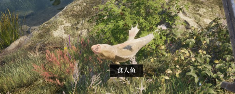 《上古卷轴4：湮灭重制版》任务避坑指南分享